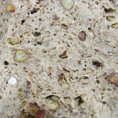 dt 13.4 nimbus mentis