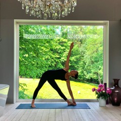 Led Primary Series -Christine Hoar