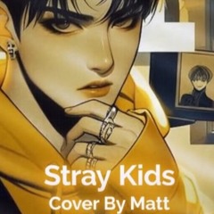 Stray Kids - "좋아해서 미안" (Sorry, I Love You) Cover by MattyChanCan