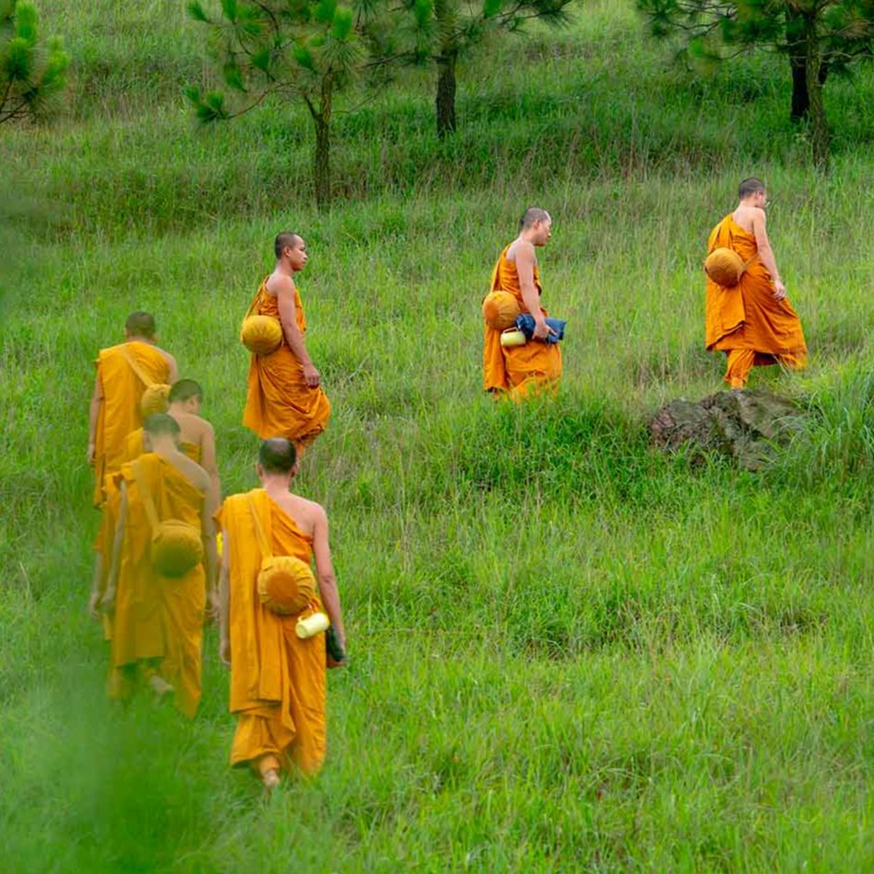 Associazione Kalyanamitta: Meditazione, Mindfulness, Buddhismo