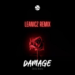 Chris Niers - Damage (LeaNicz Remix)