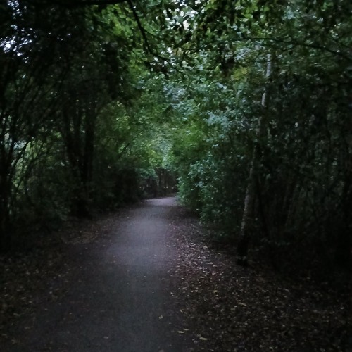 Shattered Echoes_manusafarik.wav