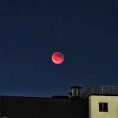 night (unreleased 2024)