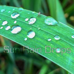 Sun Rain Drops