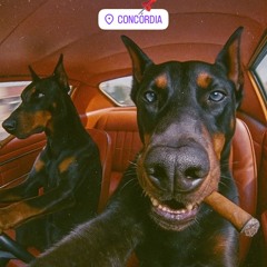 MTG- TO NOS ACESSOS DO CONCÓRDIA - DJ MACIEL DL