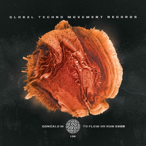 GONCALO M - To Flow Or Run Over (IntroMix) - Global Techno Movement Rec