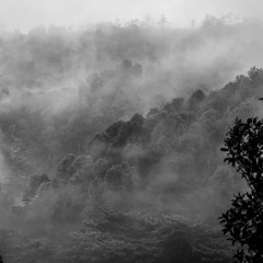 The Cold in You ~ Ecstatic Dance DJ Set ~ Paradisio Ubud ~