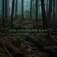 Rain Forrest Wet and Dry - disquiet0683