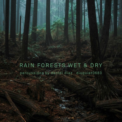 Rain Forrest Wet and Dry - disquiet0683