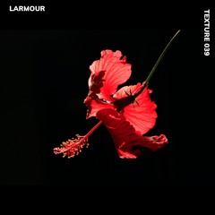 TEXTURE 039 - LARMOUR