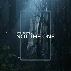 Not the One [FREE DOWNLOAD]