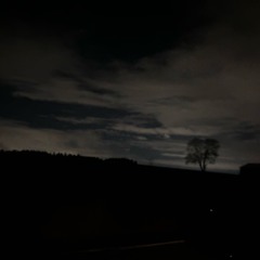 dead to me as you can be