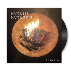 Mutatis Mutandis / Kurd 19
