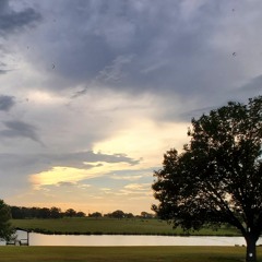 you don't own me (cover)