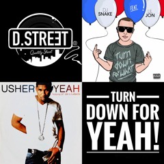 Usher, Lil Jon, Ludacris X DJ Snake - Turn Down For Yeah!