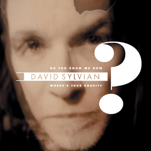 Stream David Sylvian | Listen to Do You Know Me Now? playlist