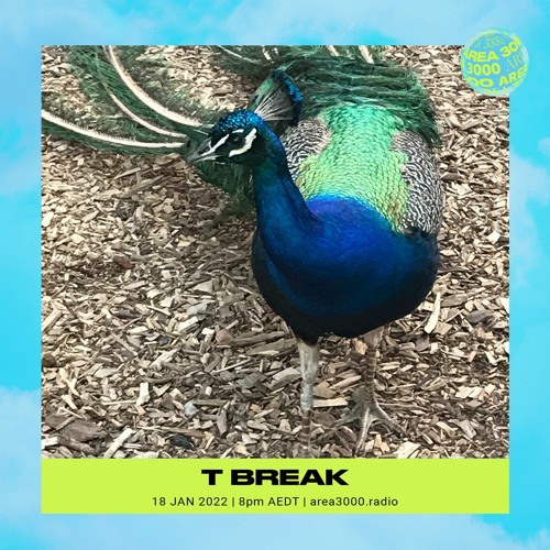 T BREAK - 18 January 2022