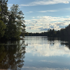 Peaceful Moment