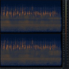 20140318 183245 CH Sihlwald Chruezrain Dusk Song Thrush