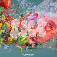 Somacchia - Acida Moral