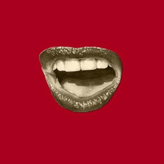 fool ass question (radio edit)