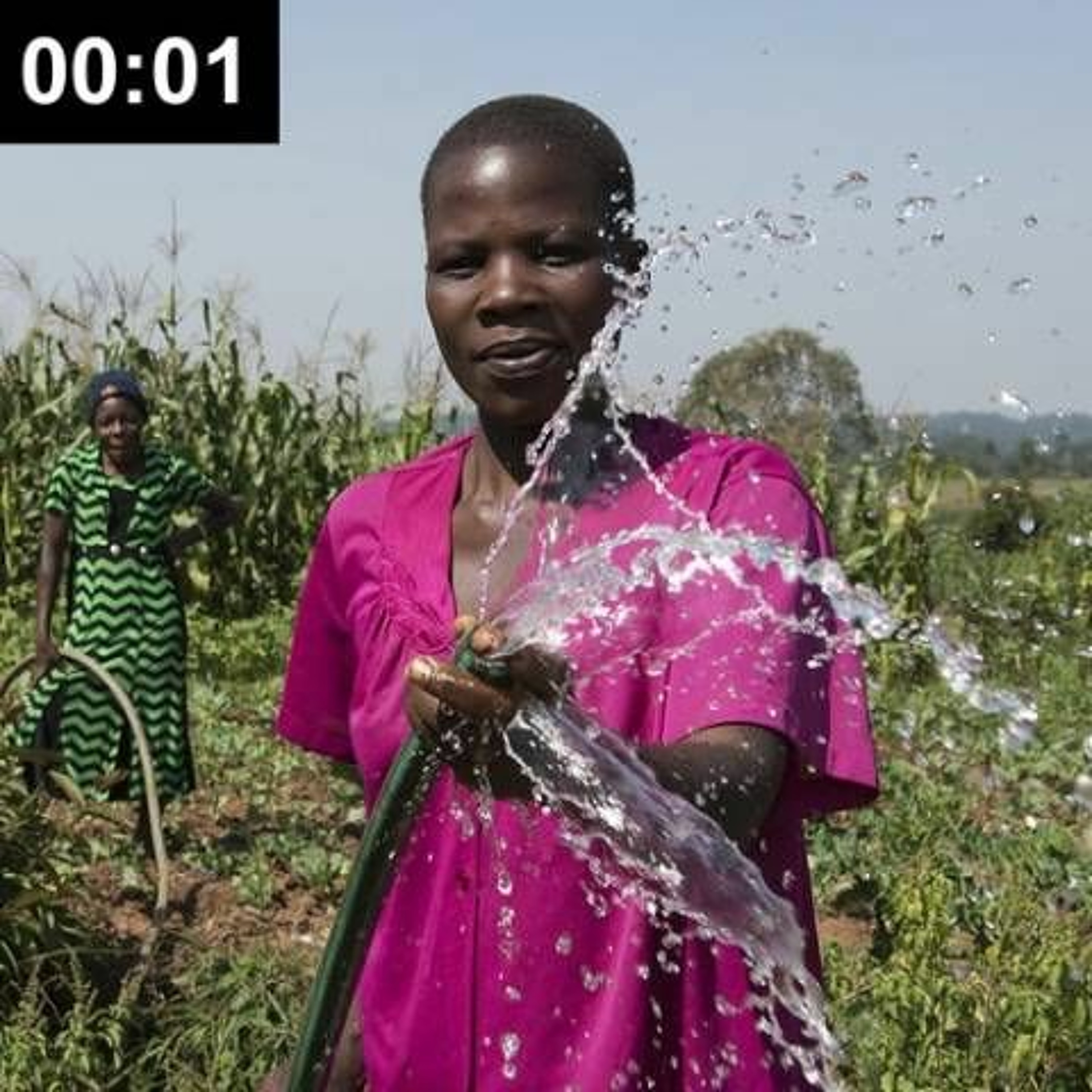 Gender and Climate change: why are women at more risk from global heating?