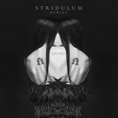 STRIDULUM - Visceral