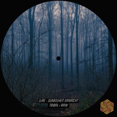 U:Re - Dunkelheit Erwacht [The Acid Mind Recordings]