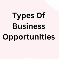 Types Of Business Opportunities | Milad Oskouie