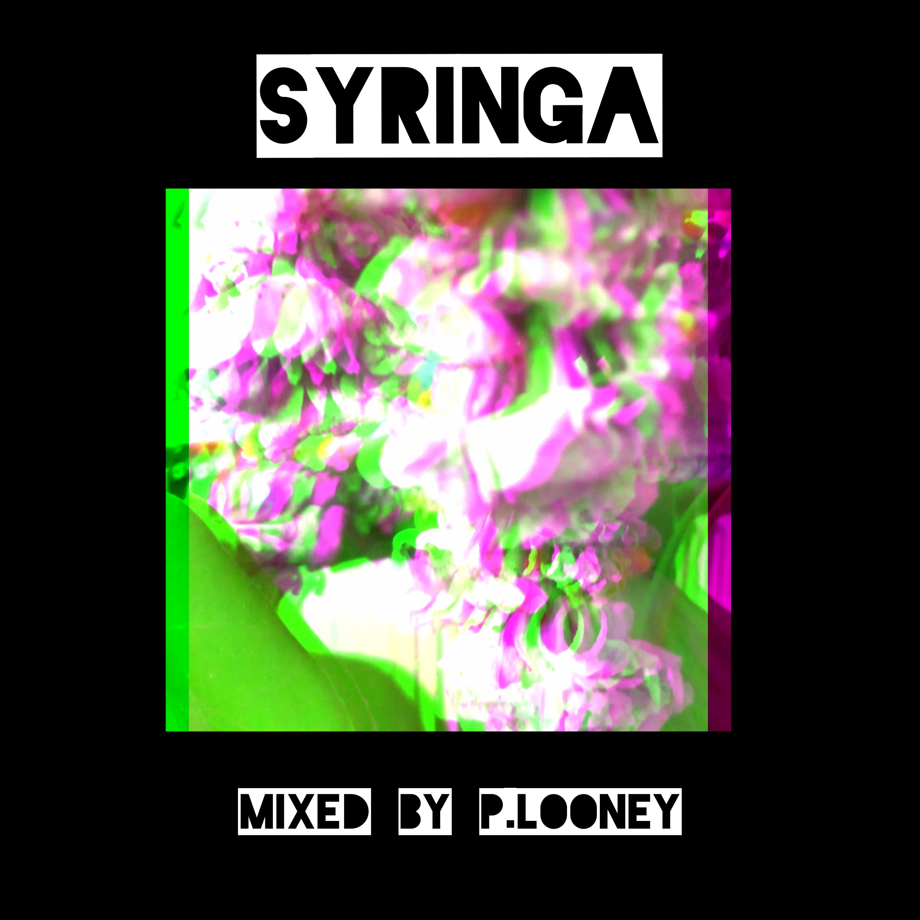 Syringa episode artwork
