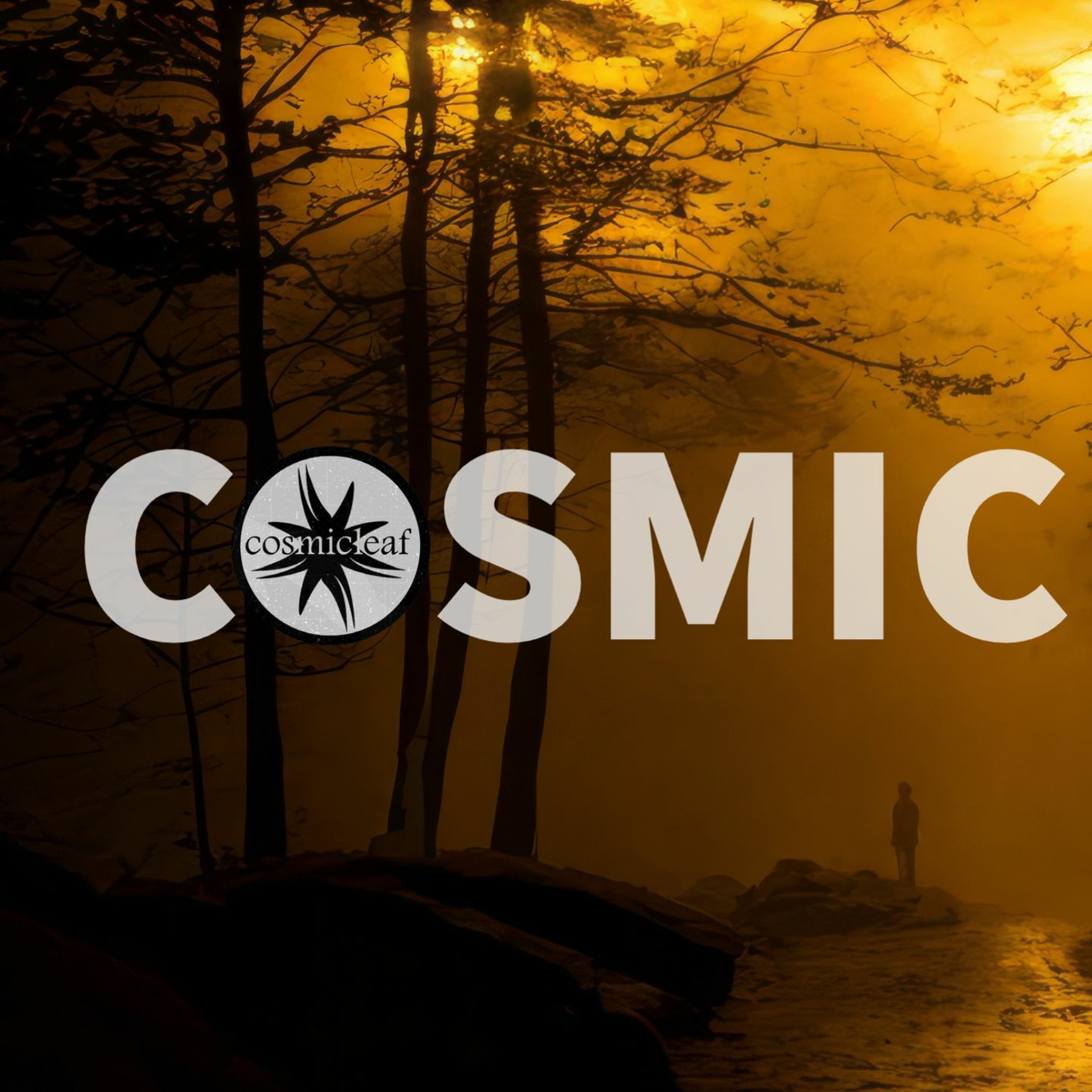 Side Liner (#downtempo) Renil Edis (#techno)