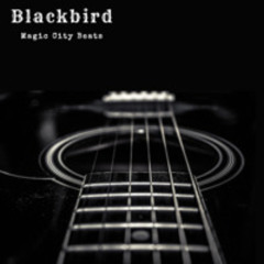 Blackbird