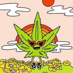 haschfreestyle dachboden vyon ft salva64