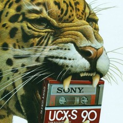 SUNDAY TAPES SERIES_D JAGUAR_STS 04
