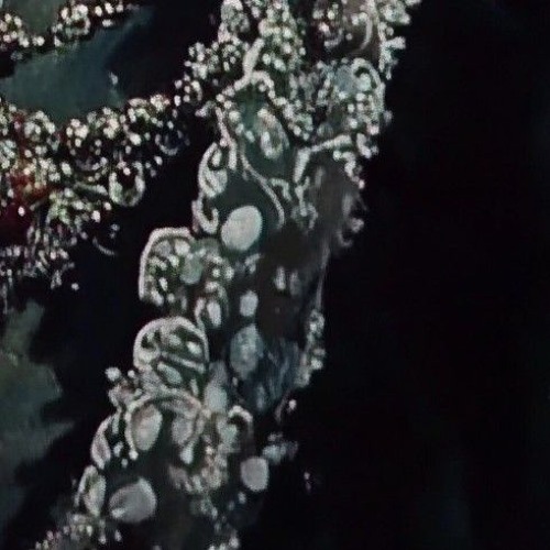 Harsh & Worrex - Stormveil