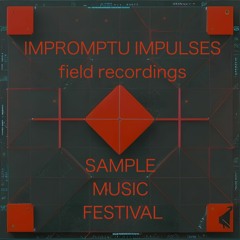 Impromptu Impulses 04 - Field Recording at Sample Music Festival