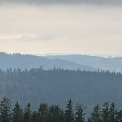 Summer Thunderstorm - No Rain. Mic Hidden deep in the forest.