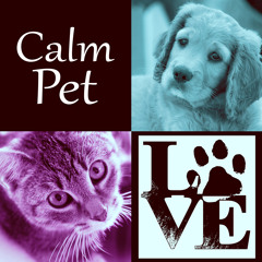 Calm Pet - Instrumental Mellow Music and Calming Down Nature Sounds to Relax Your Dog & Cat When They Are Alone at Home, Soft Melodies for Puppies & Kittens That Will Keep Them Company