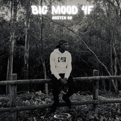 Big Mood End (feat. Dandi DG)
