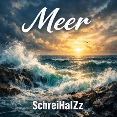 MEER RMX - SchreiHalZz