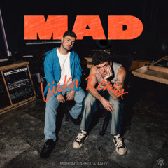 Martin Garrix - MAD (feat Lauv) [Liicka Remix]