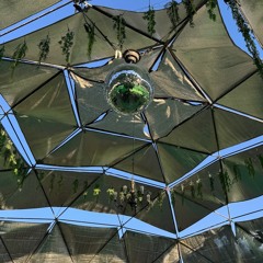French House @ Fauxliage | Burning Man 2024