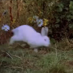 Alice’s Adventures in Wonderland 1972 intro