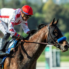 My Race Call Of The 2025 Zenyatta Stakes During Autumn Meet At Santa Anita Racetrack