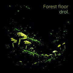 Forest floor ( Original Mix )