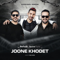 Black Cats - Joone Khodet (Narimor X IPooYaNN Remix)
