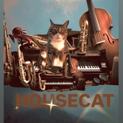HOUSECAT B SIDE