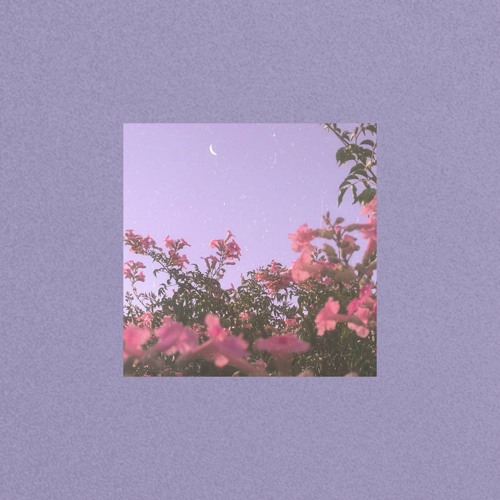 ｎｏ ｒｅａｓｏｎ *SOON ON ALL PLATFORMS*