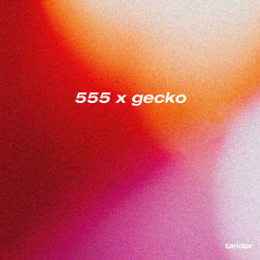 555 x Gecko (TANDER Mashup)