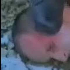 b⅃°°Dy    HÅnd℉µ⅂s